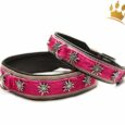 Hundehalsband Gipfelstürmer Pink