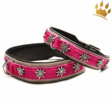 hundehalsband gipfelsturmer pink edelweiss 1280x1280