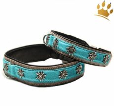 hundehalsband gipfelsturmer turkis 1280x1280