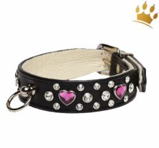 hundehalsband heartbreaker miami 1280x1280