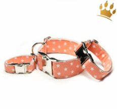 hundehalsband little star orangejpg85eCpGonS2oFi 1280x1280