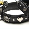 Hundehalsband St. Luc Deluxe Schwarz