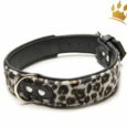 Hundehalsband Nairobi Leopard