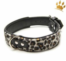 hundehalsband nairobi leo8pMIIiOB5HboJ 1280x1280
