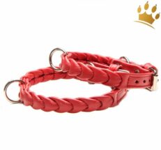 hundehalsband petite rot ascot1LY3S0cNLy1YF 1280x1280