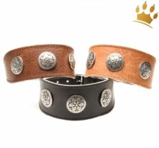 hundehalsband pigall alle 2 1280x1280