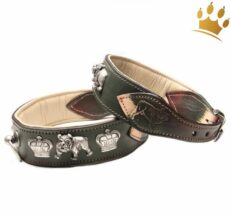 hundehalsband roxal gruen60ScvLHkZVOy1 1280x1280
