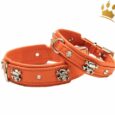 Hundehalsband Crazy Scully Orange