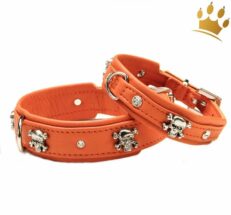 hundehalsband scully detail orange 1280x1280