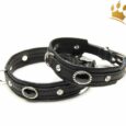Hundehalsband Black Thunder