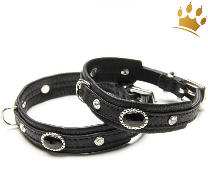 Günstig Hundehalsband Black Thunder in unserem Hundeshop im Preisvergleich kaufen.
