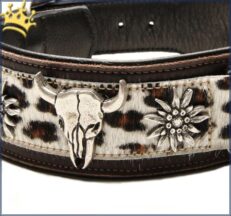 hundehalsband wild leo detail 1280x1280
