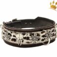 Hundehalsband Leder Wild Leo