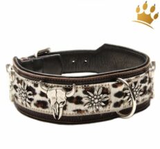 hundehalsband wild leo9f36UXXPrOjwt 1280x1280