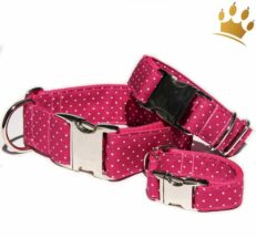 hundehalsbanddotsfuchsia 1280x1280