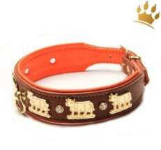 hundehalsbandluckymuhbraunorange 1280x1280