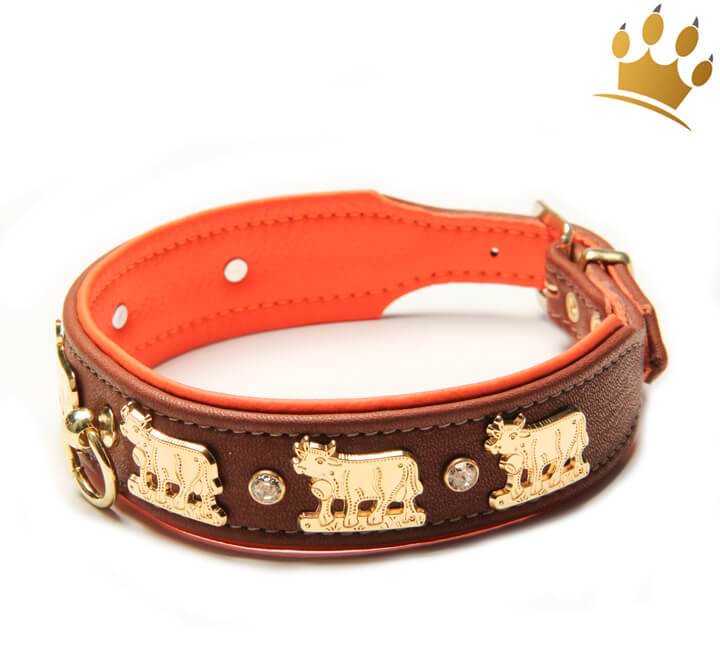 Günstig Hundehalsband Lucky-Muh Orange in unserem Hundeshop im Preisvergleich kaufen.