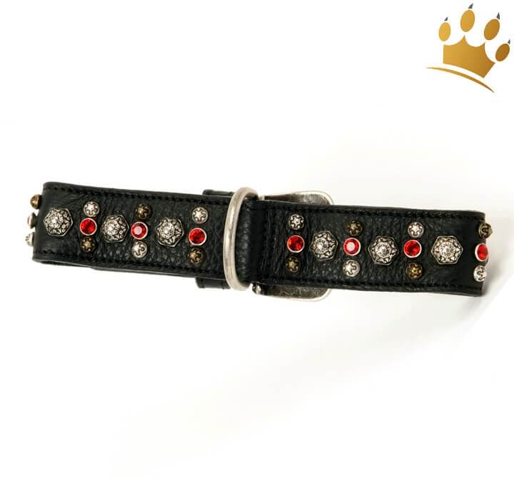 Günstig Malucchi Halsband Samarcanda 4cm Schwarz in unserem Hundeshop im Preisvergleich kaufen.