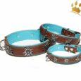 Hundehalsband Edelweiß Tirol Braun/Türkis