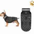 Milk & Pepper Hundejacke Teddy