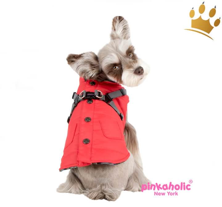 hundemantel-ameidariiPy6pMpShdX_1280x1280