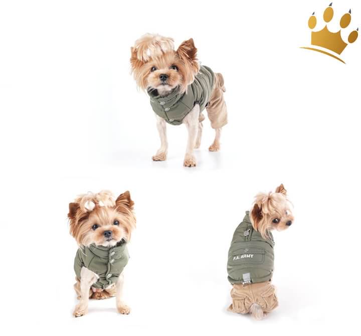 Günstig Puppy Angel Army Barmy Military Grün in unserem Hundeshop im Preisvergleich kaufen.