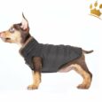 Milk & Pepper Hundemantel Cardfiff