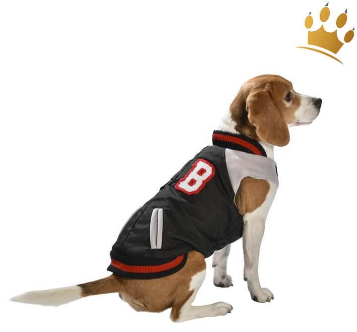 Günstig Hundemantel College Tyler Schwarz in unserem Hundeshop im Preisvergleich kaufen.
