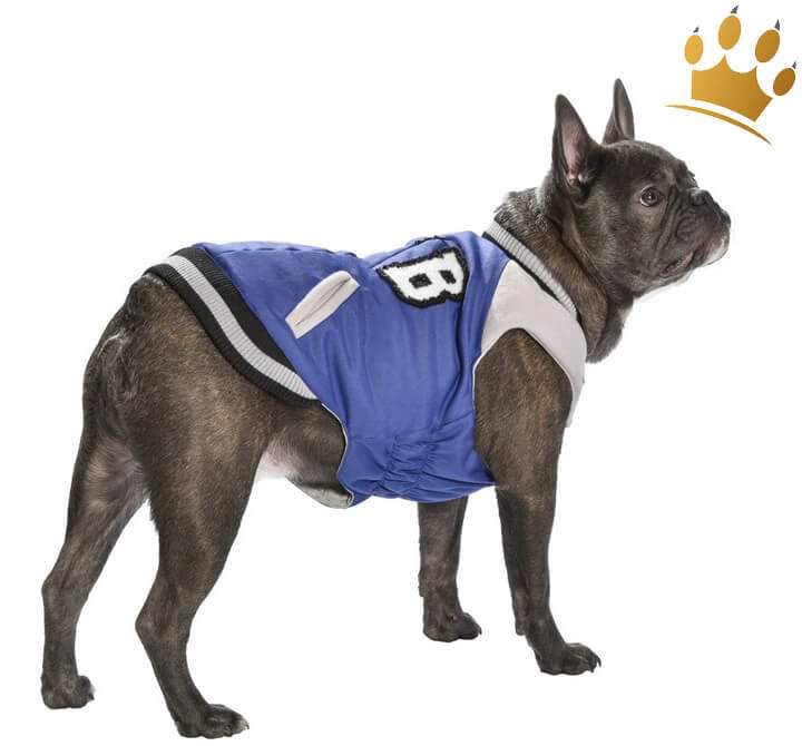 Günstig Hundemantel College Tyler Blau in unserem Hundeshop im Preisvergleich kaufen.