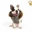 Puppyangel Hundemantel Down Hood Grau
