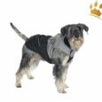 Hundemantel Oxford Grau /Schwarz
