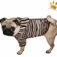 Hundesweater Soft Zebra