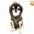 Hundepullover Visby