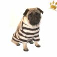 Hundepullover Kampen Creme