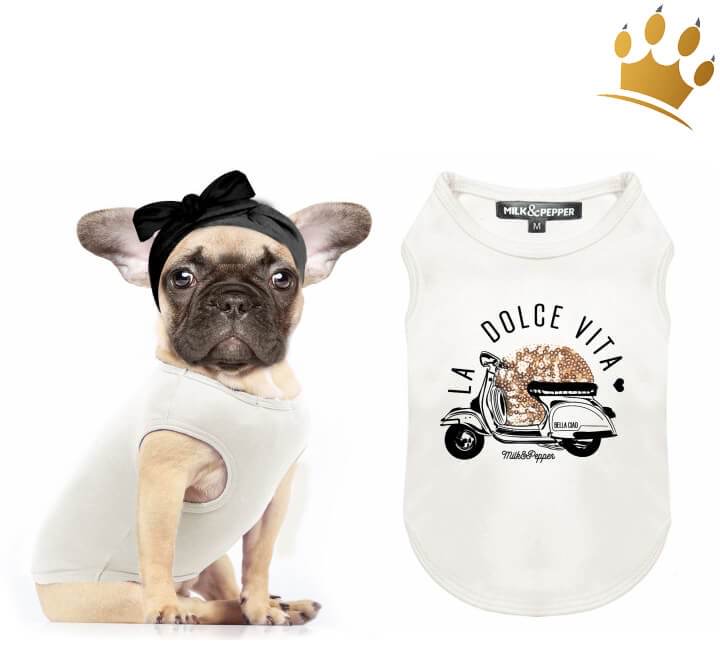 Günstig Milk & Pepper Hunde-T-Shirt Dolce Vita in unserem Hundeshop im Preisvergleich kaufen.