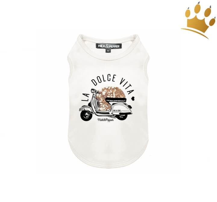 hundeshirtparadiso_1280x1280