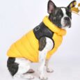 Puppia Hundemantel Ultralight Gilet