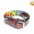 Kipita Hundehalsband Rainbow