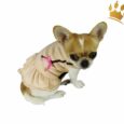 Hundekleidchen Loop Creme