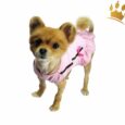 Hundekleidchen Loop Rose