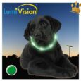 LumiVision® Hundeleuchthalsband Grün