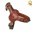 Malucchi Hundegeschirr Movie Bright Braun