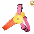 Malucchi Hundegeschirr Movie Tutti Frutti Multi