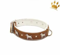 motivhalsband jack russel c 1280x1280