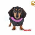 Puppia Hundemantel MOUNTAINEER II Schwarz