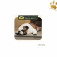 Mousepads Hundemotiv