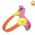Malucchi Hundegeschirr Movie Tutti Frutti Multi