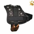MyDog Hundegeschirr Leo Black Luxury