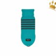 Noox Hundepullover Discovery Türkis