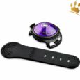 Orbiloc Lichtbutton Dog Dual Purple